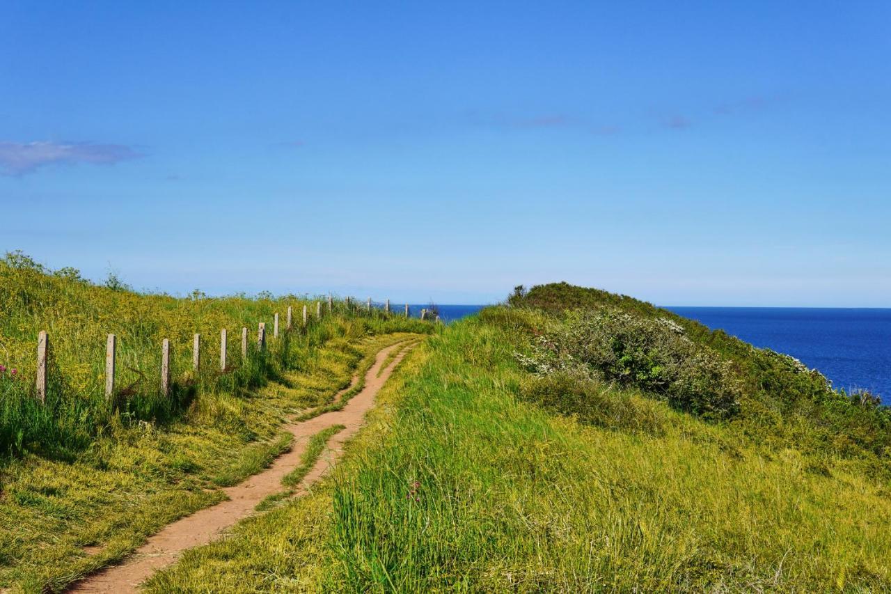 Cormorant- Sea View, Couples Retreat Holiday home *